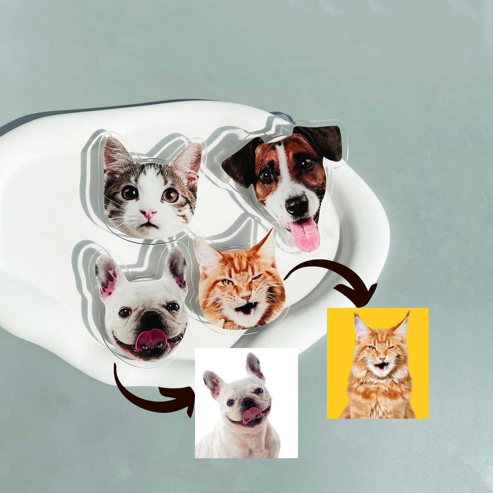 カスタマイズされたペットの携帯電話エアバッグ ホルダー - Fallook