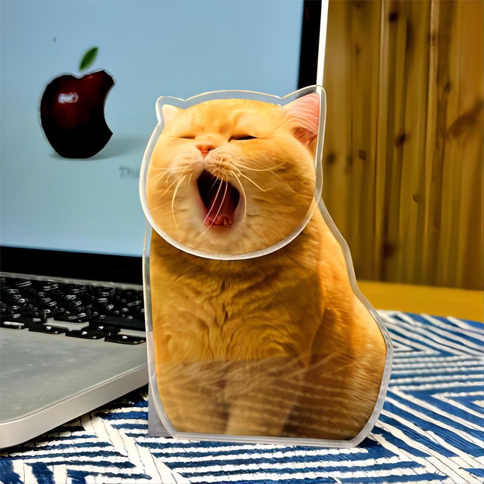 カスタムペット 子供·入園祝·卒業祝 シェイクアクリルスタンドサイン - 1人印刷 - Fallook