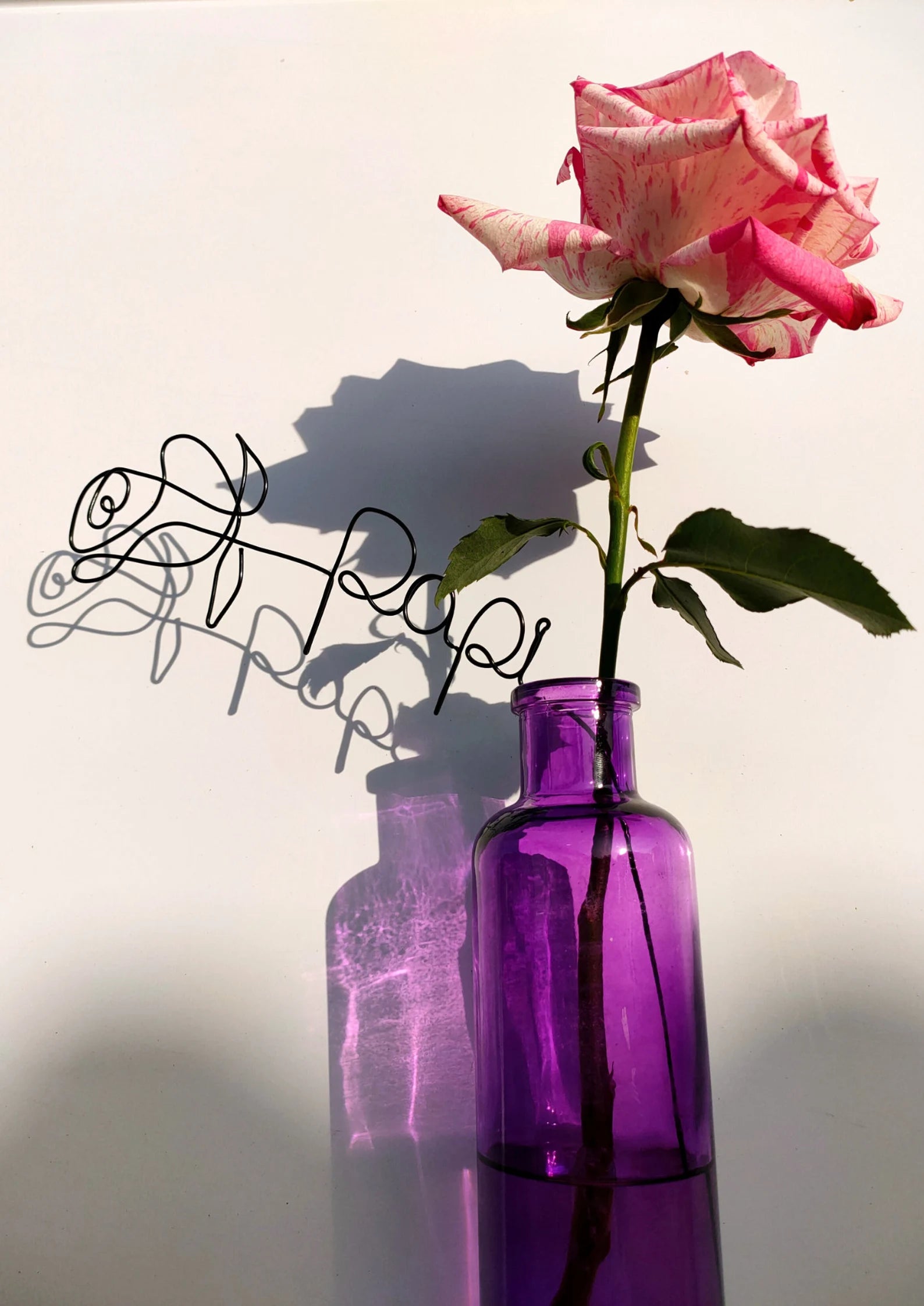 名前入りで枯れない花 | バラ | 母の日 | 誕生日 | 記念日