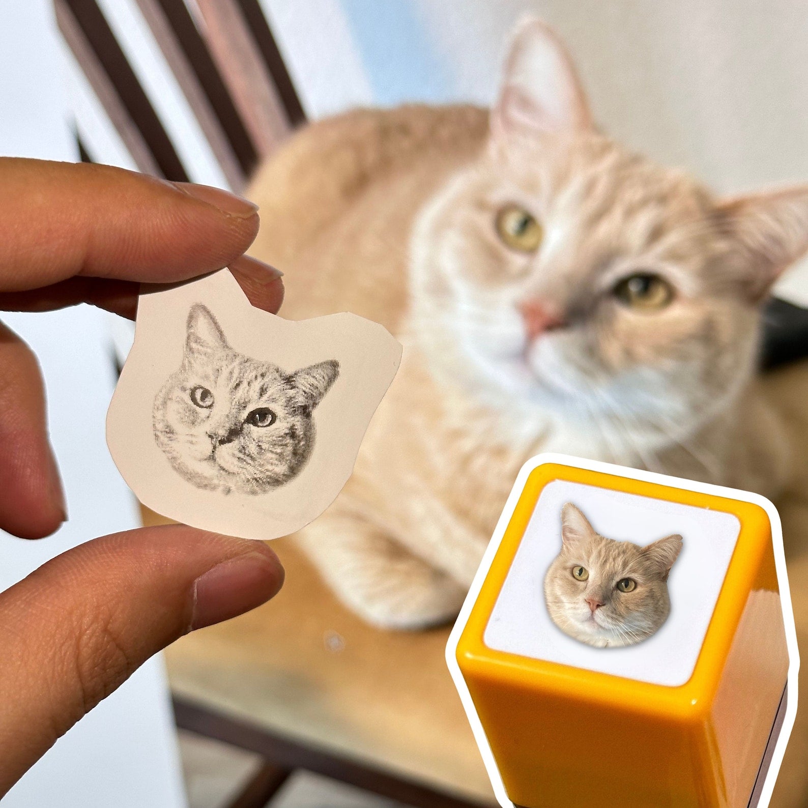 ペット写真スタンプ ペットの写真をスタンプに加工 (画像) 直径30mm四角内での制作です カスタム画像 - Fallook