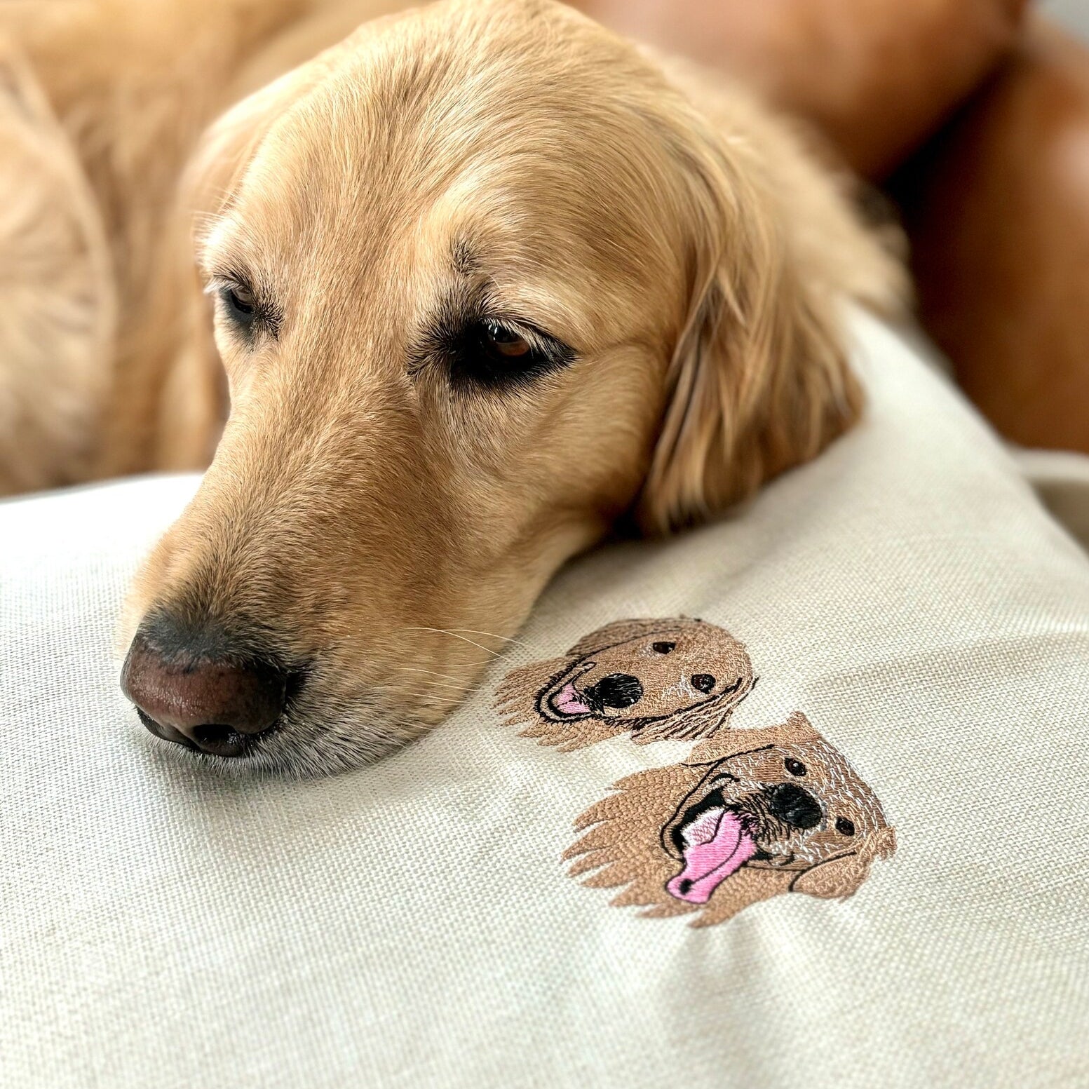 ペット刺繡クッションです