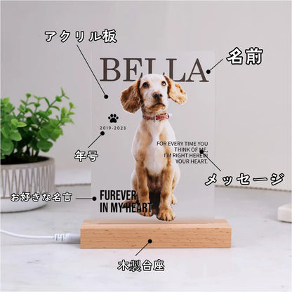 Personalized birth flower Accessory storage box♬ Fashionable