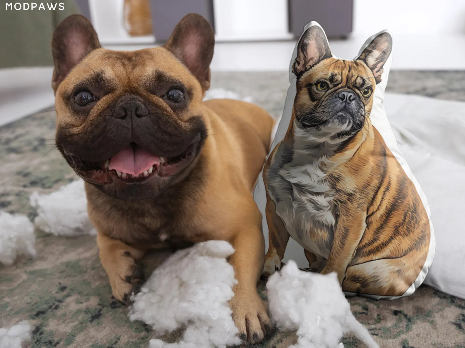 世界にひとつだけ♪オリジナルクッション·写真でオーダーメイド  ペット