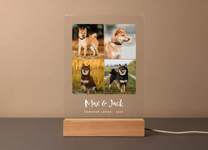 Personalized birth flower Accessory storage box♬ Fashionable