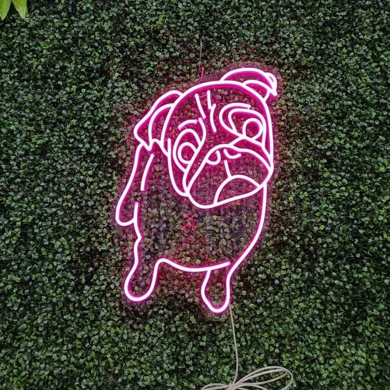 カスタム ペット アウトライン ネオン ライト - Fallook