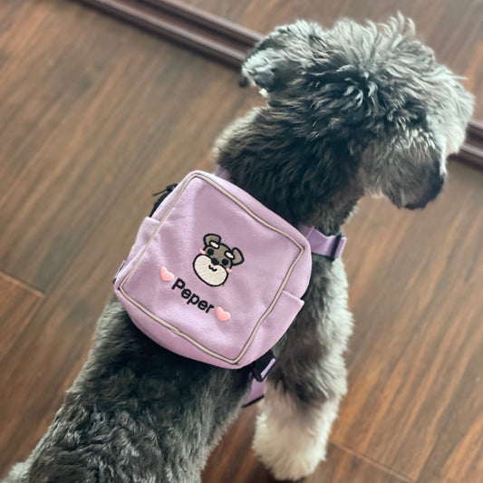 カスタム刺繍入りペット用バックパックリード - Fallook