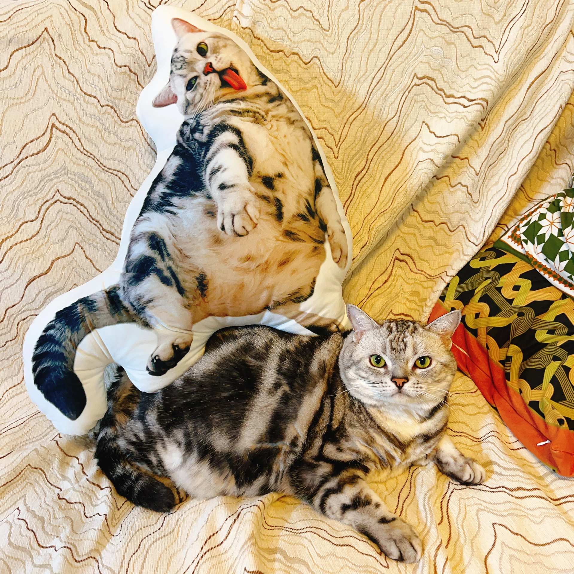 世界にひとつだけ♪オリジナルクッション·写真でオーダーメイド01-ペット - Fallook