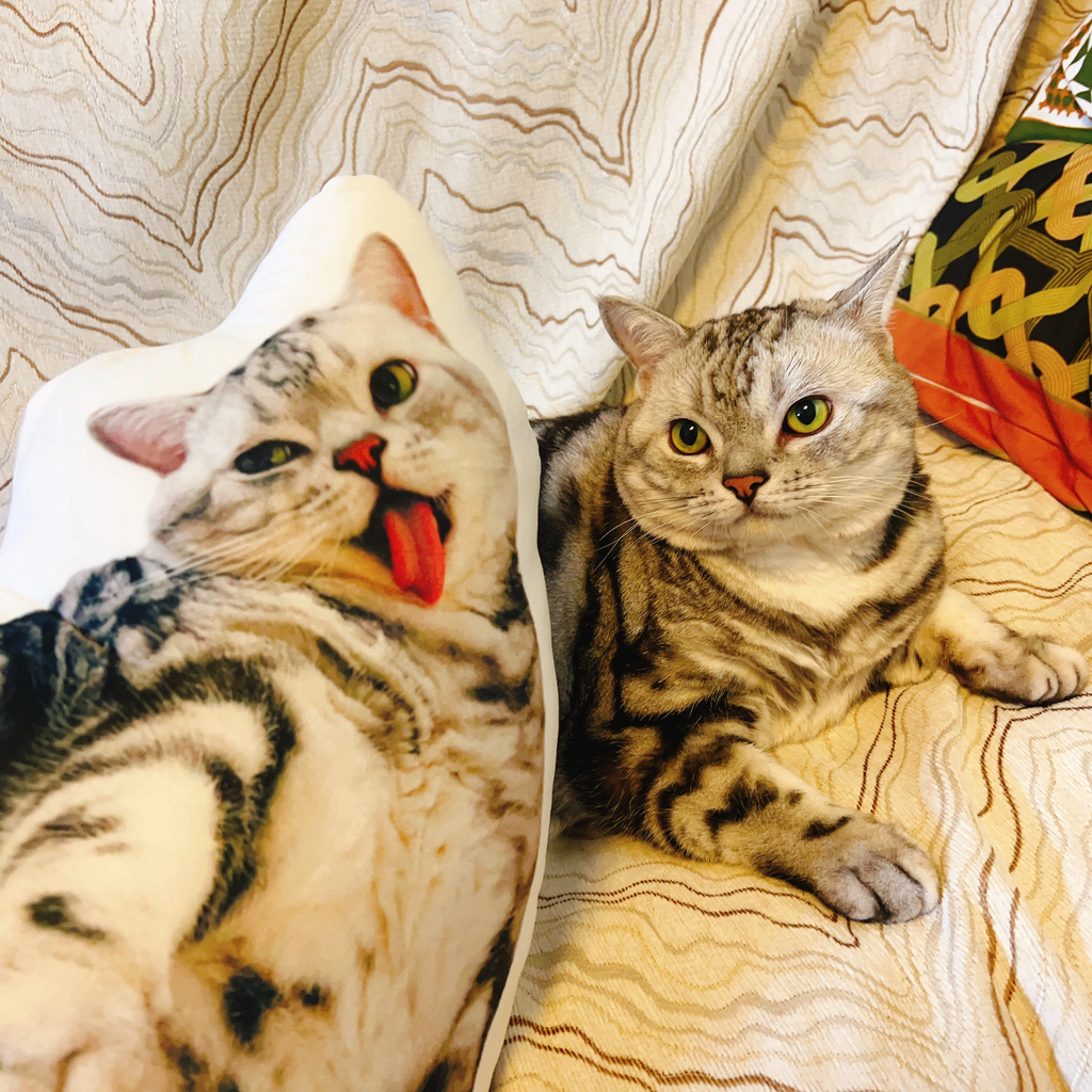 世界にひとつだけ♪オリジナルクッション·写真でオーダーメイド01-ペット - Fallook