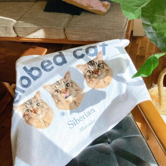 ふわふわうちの子ブランケット - Fallook