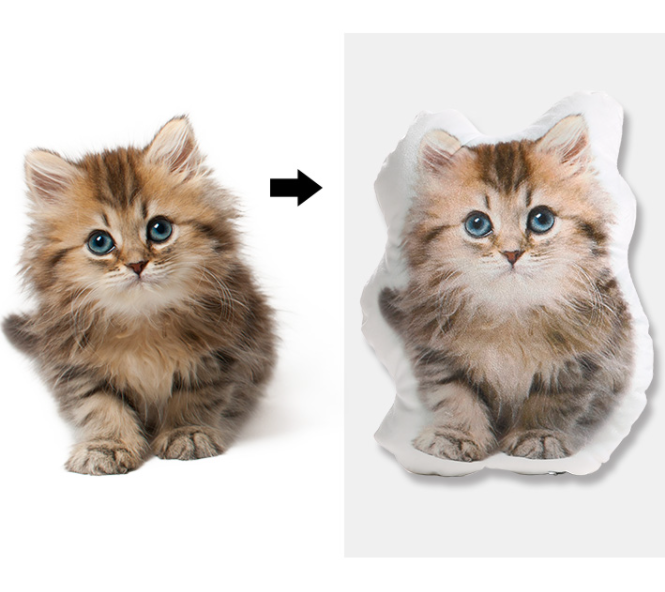 世界にひとつだけ♪オリジナルクッション·写真でオーダーメイド01-ペット - Fallook