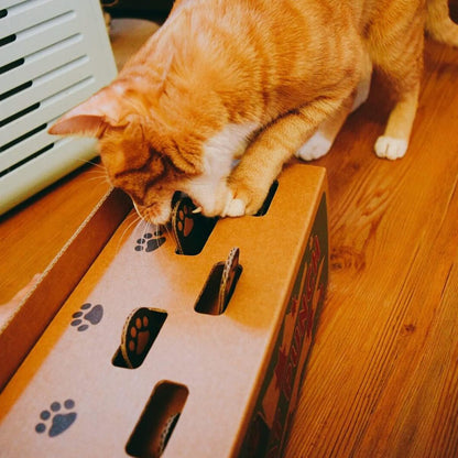 猫用おもちゃ 爪研ぎ ダンボール 組み立て簡単 面白い ペット玩具 新作 可愛い 猫遊び やすい 運動時間