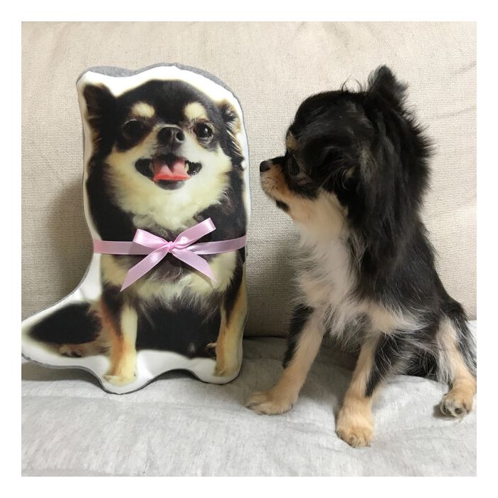 世界にひとつだけ♪オリジナルクッション·写真でオーダーメイド01-ペット - Fallook