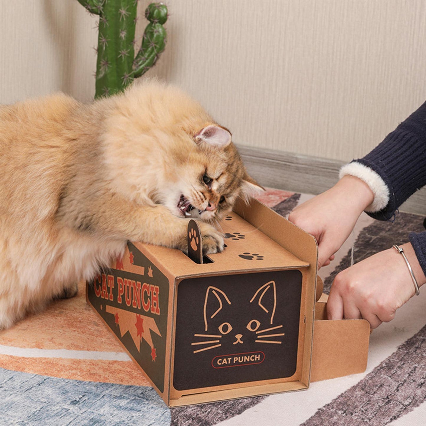 猫用おもちゃ 爪研ぎ ダンボール 組み立て簡単 面白い ペット玩具 新作 可愛い 猫遊び やすい 運動時間